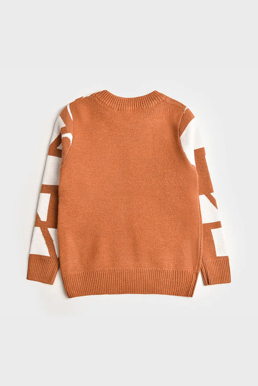 Boys Stylish Cotton Camel Sweater