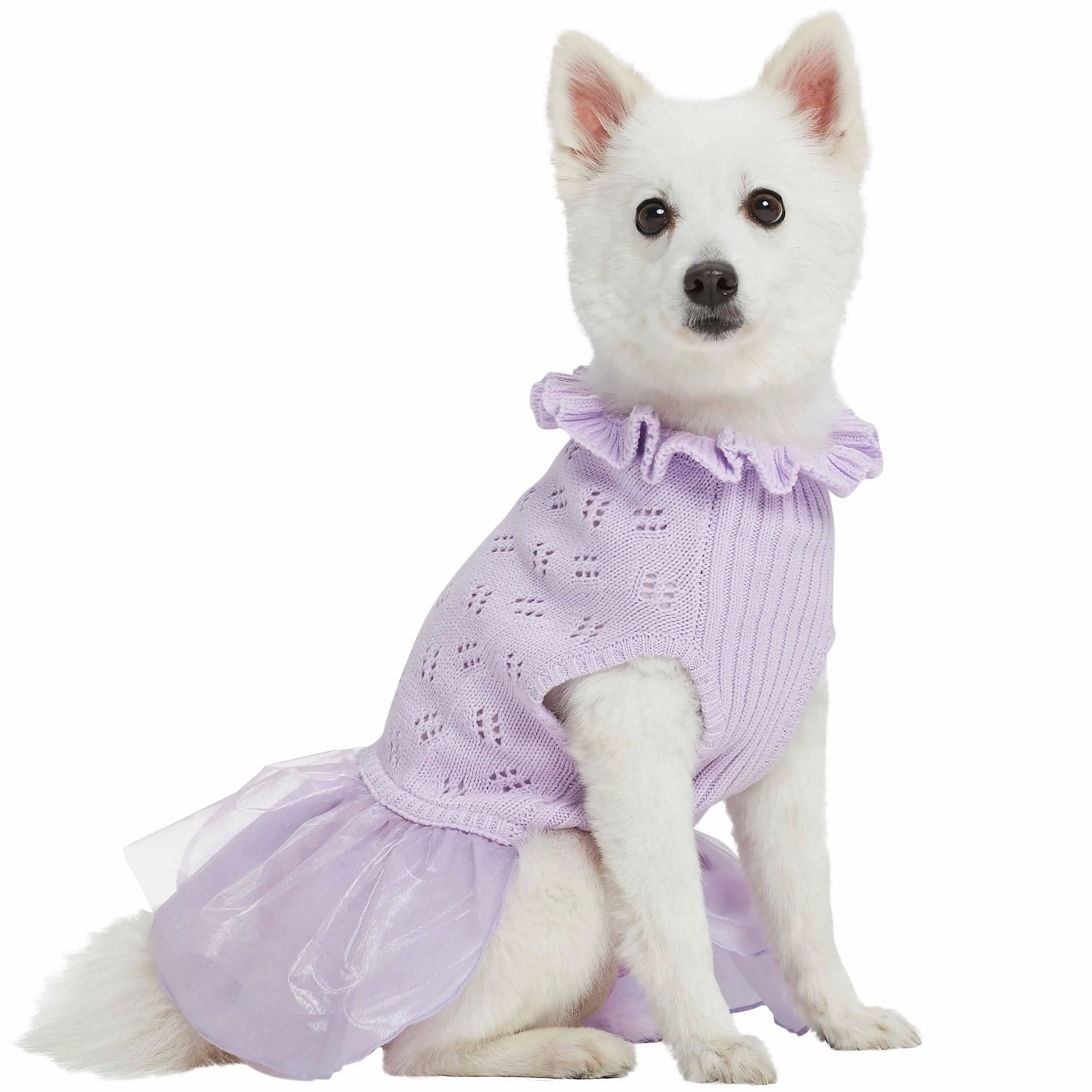 My Cutie Princess Ruffle Collar Dog Sweater Dress