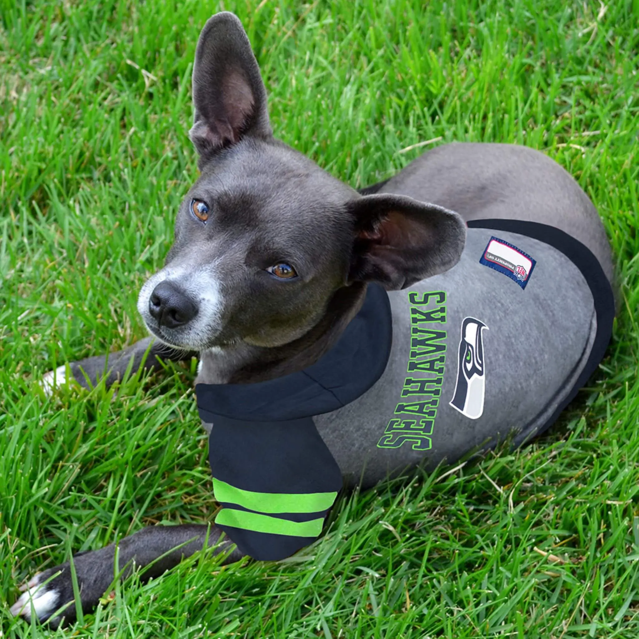 Seattle Seahawks Hooded T-Shirt for Dogs